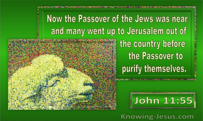 John 11:55 The Passover Of The Jews : To Purify Themselves (green)